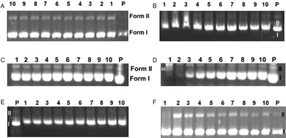Figure 7. Modification of gel electrophoretic mobility of pBR322 plasmid DNA after treated with various concentrations of compounds 2 – 7