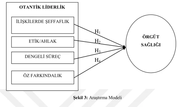 Şekil 3: Araştırma Modeli 