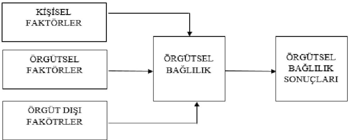 Şekil 2.2 Örgütsel Bağlılık Etki Modeli 