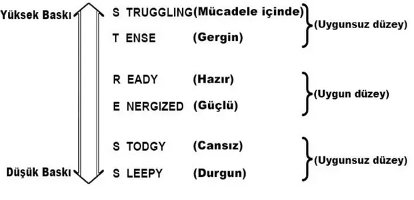 Şekil 2.2. Stresin Süreci 