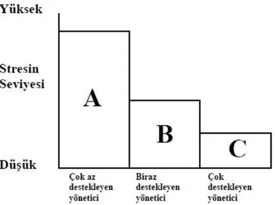 Şekil 2.3. Yönetici Desteği 