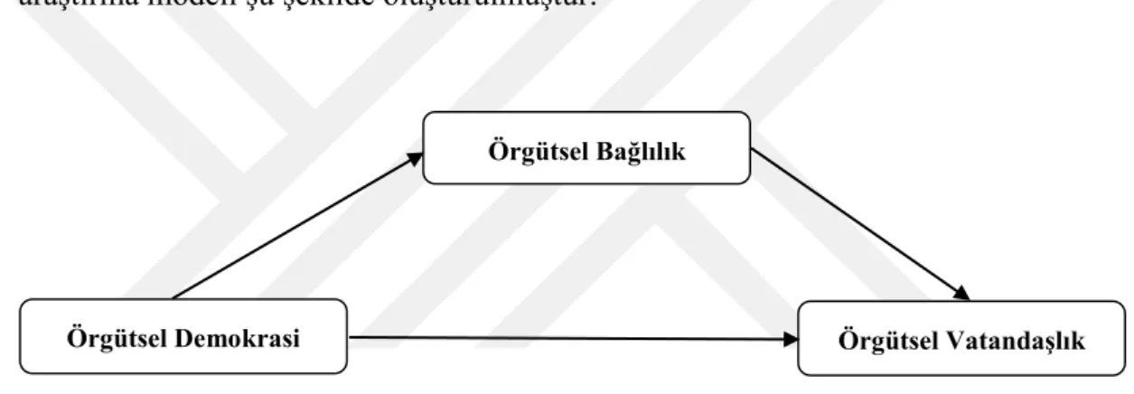 Şekil 3.1. Araştırma Modeli 