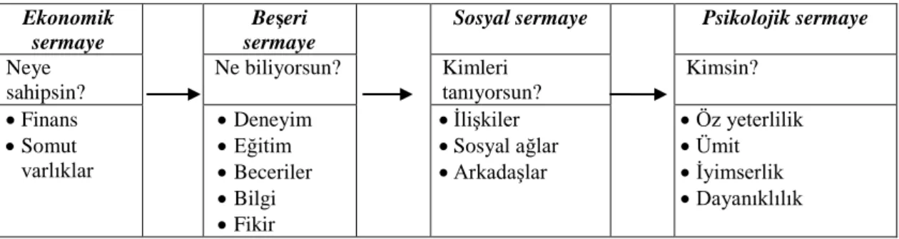 Şekil 1.1. Sermaye Kavramının Genişletilmesi  Kaynak: Luthans, Luthans ve Luthans, 2004 