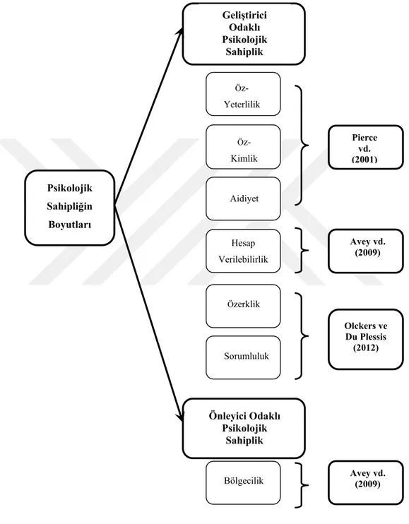 Şekil 2.1: Psikolojik Sahiplik Boyutları  Kaynak: (Olckers, 2013: 3) 