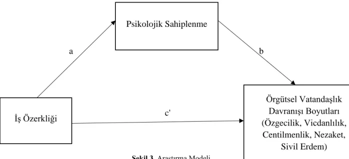 Şekil 3. Araştırma Modeli 
