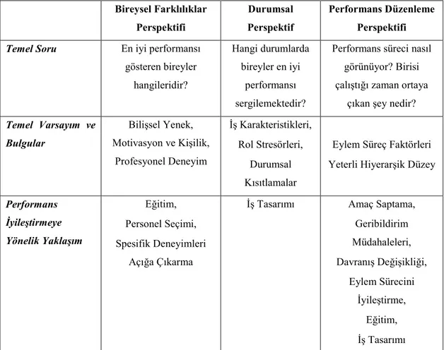 Tablo 3. 1. Performansa İlişkin Perspektiflerin Karşılaştırılması 