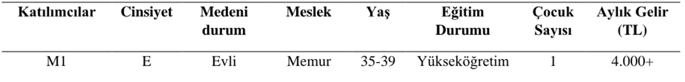 Tablo 1.1. Katılımcılara Ait Demografik Bilgiler  Katılımcılar  Cinsiyet  Medeni 