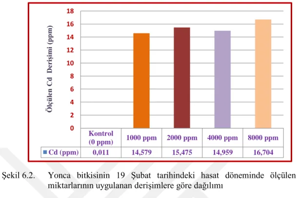 ġekil 6.2.  Yonca  bitkisinin  19  ġubat  tarihindeki  hasat  döneminde  ölçülen  Cd  miktarlarının uygulanan deriĢimlere göre dağılımı 