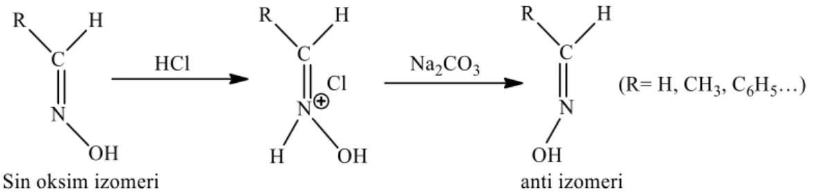 Şekil 2.4. Sin- oksim izomerinin HCI ile anti- izomere dönüşümü  