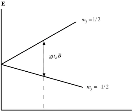 Şekil  3.3.  Manyetik  alanın  bir  fonksiyonu  olarak  spin-1/2  manyetik  momentinin  enerjisi