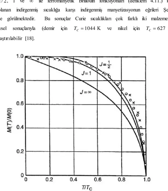 Şekil  4.2.  Farklı  J  değerleri  için  ferromanyetik  Brillouin  fonksiyonu  ile  hesaplanmış,  indirgenmiş  sıcaklığa  ( T / T C )  karşı  indirgenmiş  manyetizasyon 