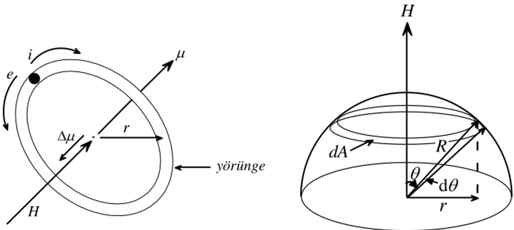 Şekil 2.5. Yörünge momentine manyetik alanın etkisi. 