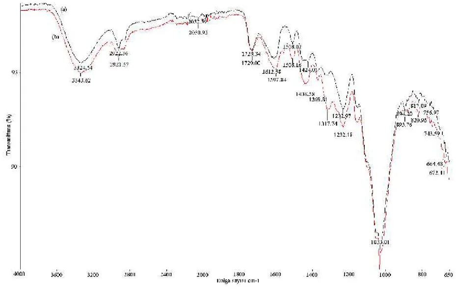 Şekil 4.1. BK’nın (a) adsorpsiyon öncesi ve (b) sonrası FTIR analizi pH 1