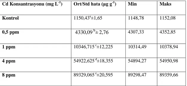 Tablo 4. 3.Salvinia natans (L.) örneklerindeki Cd Kadmiyum) miktarı ve standart hata        değerleri (μg g -1  kuru ağırlık, n=5)
