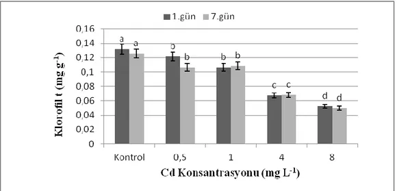 Şekil 4. 16.Cd (0,5-8 mg L-1) uygulanmış Salvinia natans (L.) örneklerindeki toplam         klorofil 1