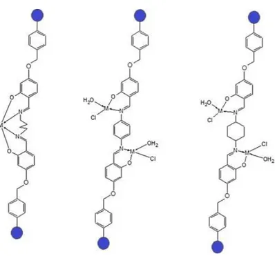 Şekil 2.5. Önerilen metal kompleks yapıları  