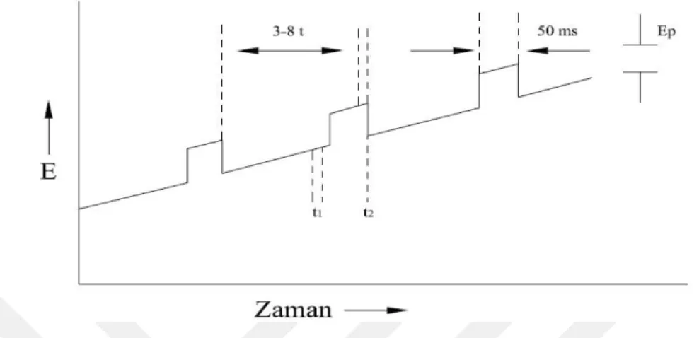 Şekil 2.3 Diferansiyel puls voltametrisi için sinyal grafiği [33].  Voltamogramlardaki pik akımlarının yüksekliği, aşağıdaki eşitlikte (Eşitlik 1.1.) de  görüleceği  gibi  ilgili  analitin  derişimiyle  doğru  orantılıdır