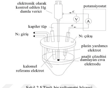 Şekil 2.5 Tipik bir voltametri hücresi
