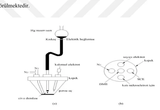 Şekil 2.6 Damlayan Civa Elektrodu 2.4.2  Karşıt Elektrot 