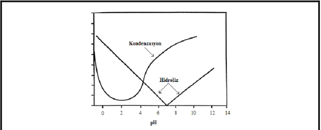 Şekil 2.3.pH’ a karşı hidroliz ve kondenzasyon reaksiyon grafiği [44]. 