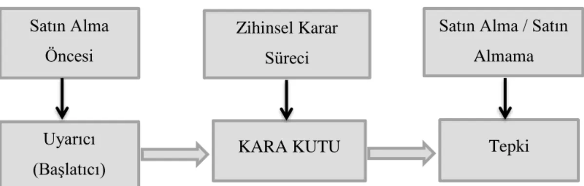 Şekil 4. Satın Alma Davranışında Kara Kutu Modeli 