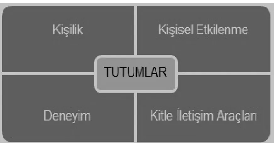 Şekil 3. Tutumların Oluşmasında Etkili Olan Bilgi Kaynakları  Kaynak: Odabaşı ve Barış, 2010: 171 