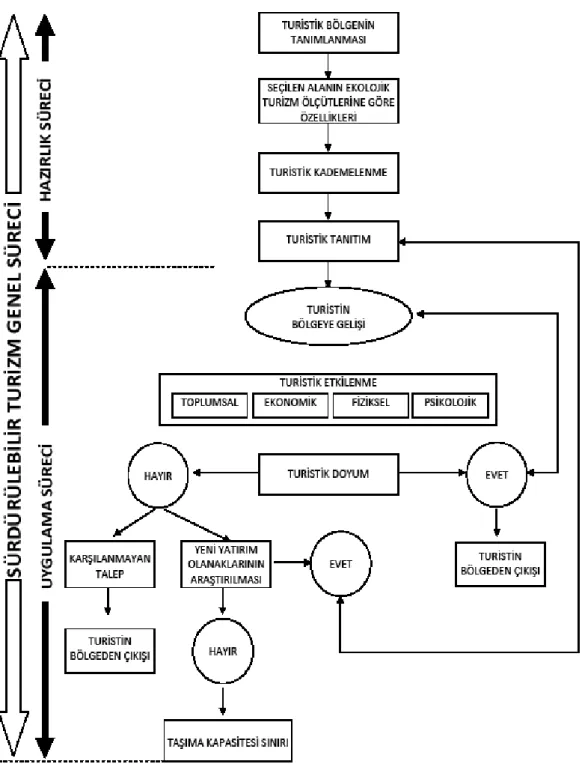 Şekil 1.1. Sürdürülebilir Turizm Süreci 
