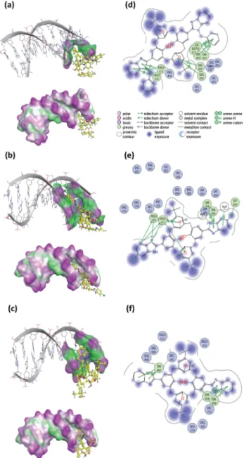 Fig. 15 Three-dimensional (3D) docked structures with molecular surface representations (left column) and two-dimensional (2D) interaction plots (right column) obtained for the most energetically pro ﬁtable poses of the compound–DNA complexes: (a) and (d) 