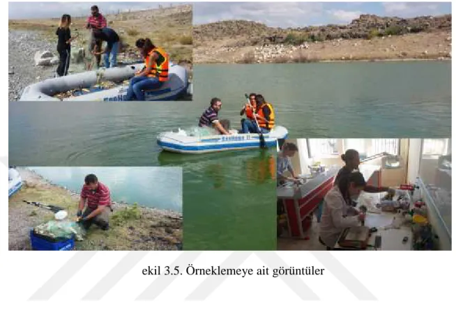 Şekil 3.5. Örneklemeye ait görüntüler