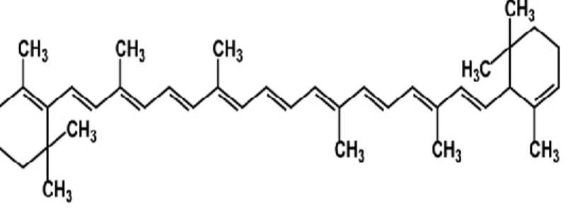 Şekil 2.3. β-karoten kimyasal formülü[59] 