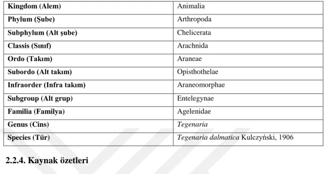 Tablo 2.1.  Çalışmada kullanılan türün sistematik bilgisi [37] 