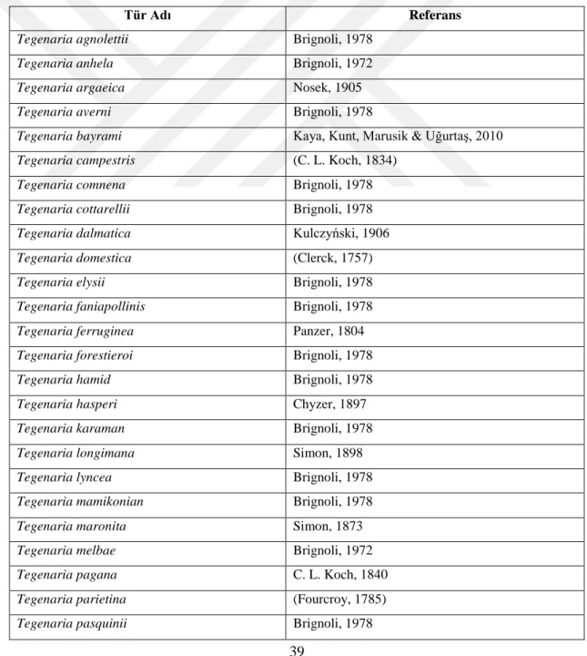 Tablo 5.1.  Türkiye’de bulunan Tegenaria cinsine ait türlerin isim listesi [29]. 