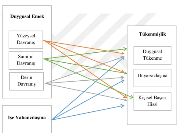 Şekil 3: Araştırma Modeli