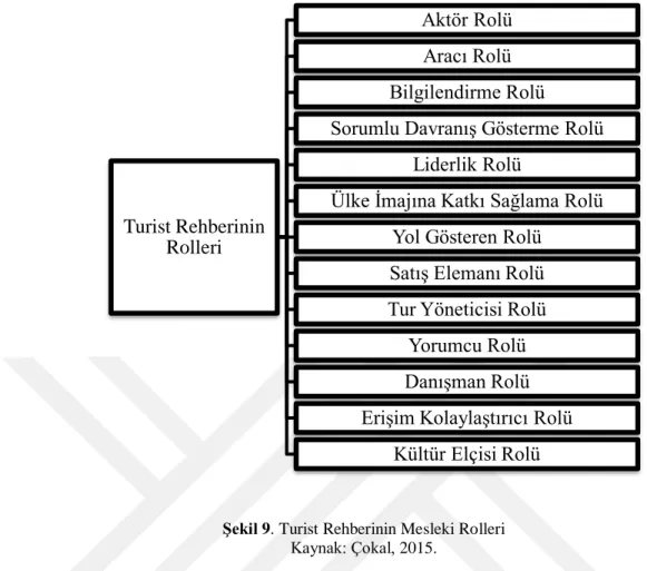 Şekil 9. Turist Rehberinin Mesleki Rolleri  Kaynak: Çokal, 2015. 