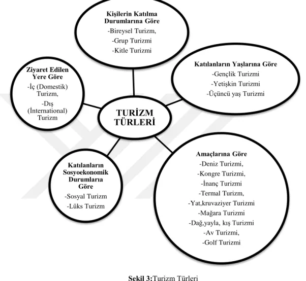 Şekil 3:Turizm Türleri  Kaynak: Sezer, 2010: 9