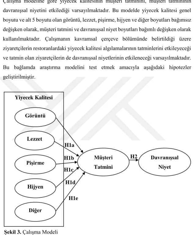 Şekil 3. Çalışma Modeli