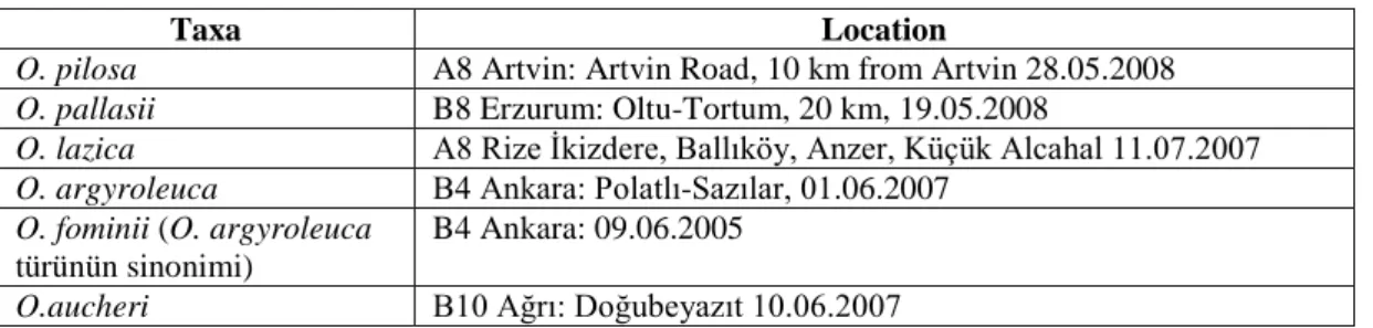 Tablo 1.1.  Anatomik kesitleri alınan türler 