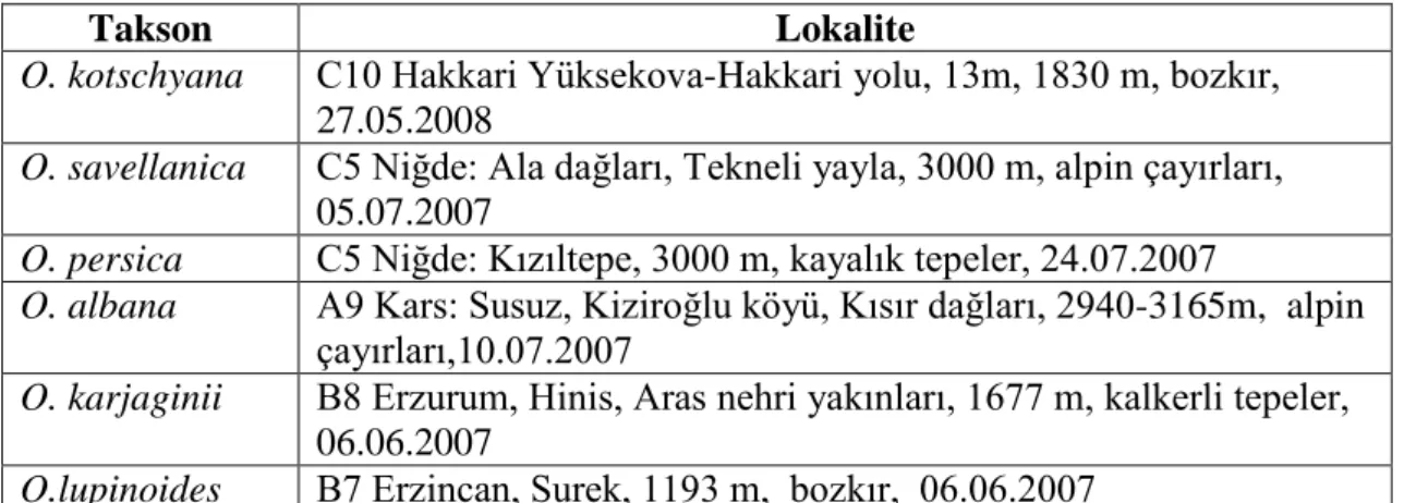 Tablo 2.1. Anatomik kesitleri alınan türler 