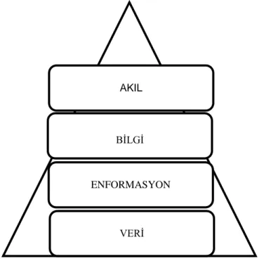 Şekil 5: Veri, Enformasyon, Bilgi ve Akıl Piramidi (VEBA) AKIL
