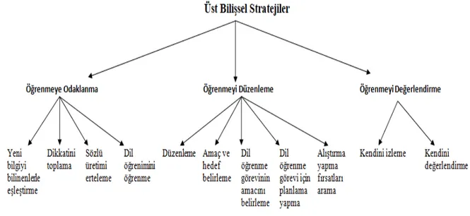 Şekil 2.5. Oxford’un (1990: 153) Üst Bilişsel Strateji Sınıflandırması 