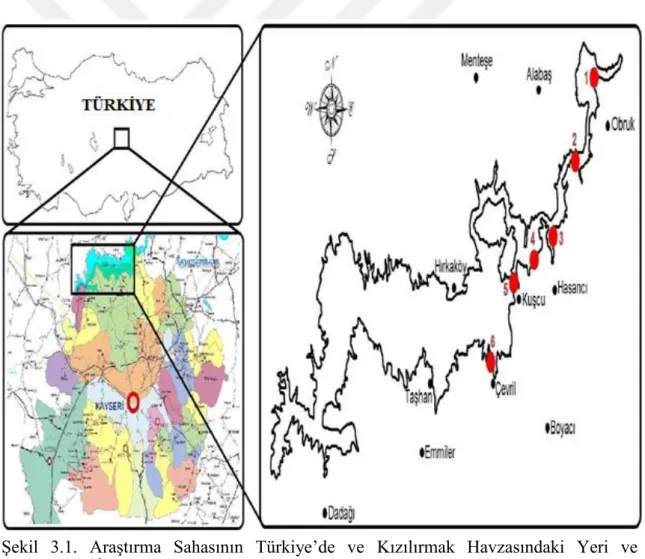 Şekil  3.1.  Araştırma  Sahasının  Türkiye’de  ve  Kızılırmak  Havzasındaki  Yeri  ve  İstasyonlar 