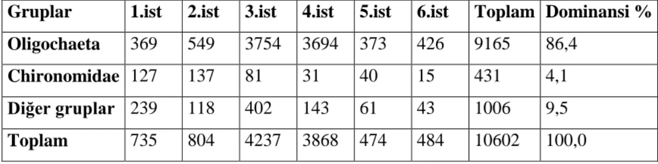 Tablo  4.1.  Yamula  Baraj  Göl’ünde  tespit  edilen  Oligochaeta,  Chironomidae  ve  diğer  grupların yüzde dağılımları 