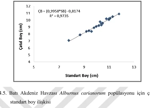 Şekil  4.5.  Batı  Akdeniz  Havzası  Alburnus  carianorum  popülasyonu  için  çatal  boy- boy-standart boy ilişkisi 