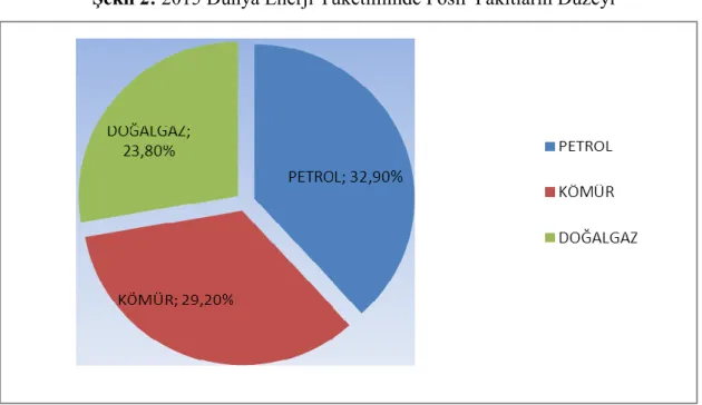 ġekil 2: 2015 Dünya Enerji Tüketiminde Fosil Yakıtların Düzeyi