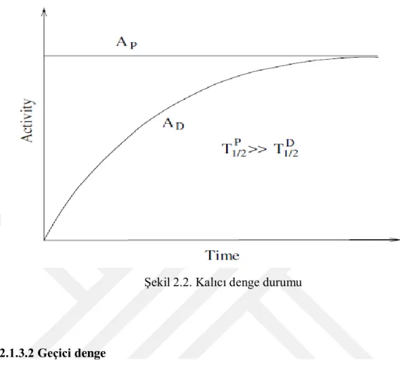 Şekil 2.2. Kalıcı denge durumu 