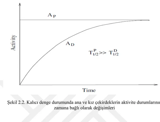 Şekil 2.2. Kalıcı denge durumunda ana ve kız çekirdeklerin aktivite durumlarının  zamana bağlı olarak değişimleri 