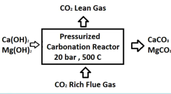 Figure 2. General chemical mineralization path.    