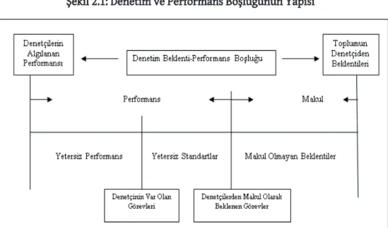 Şekil 2.1: Denetim ve Performans Boşluğunun Yapısı 