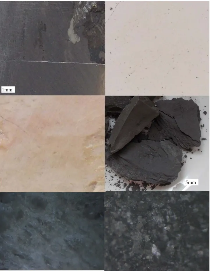 Fig. 2. Photos and Bright Sections and Parts of Şırnak limestone, marl, claystone  