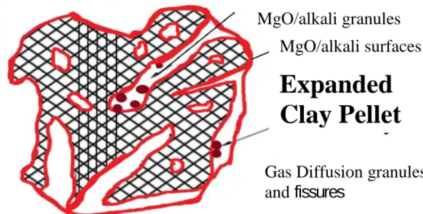 Fig. 8 Expanded Clay surface adsorption and pore entrapment. 